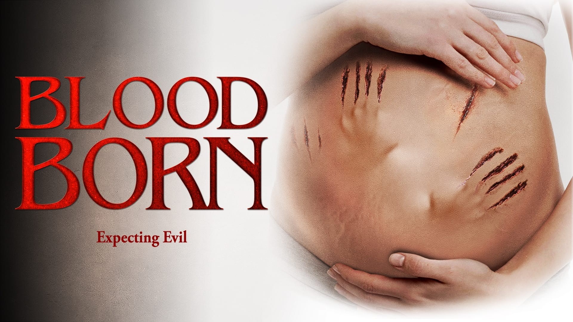 Voir film Blood Born en streaming