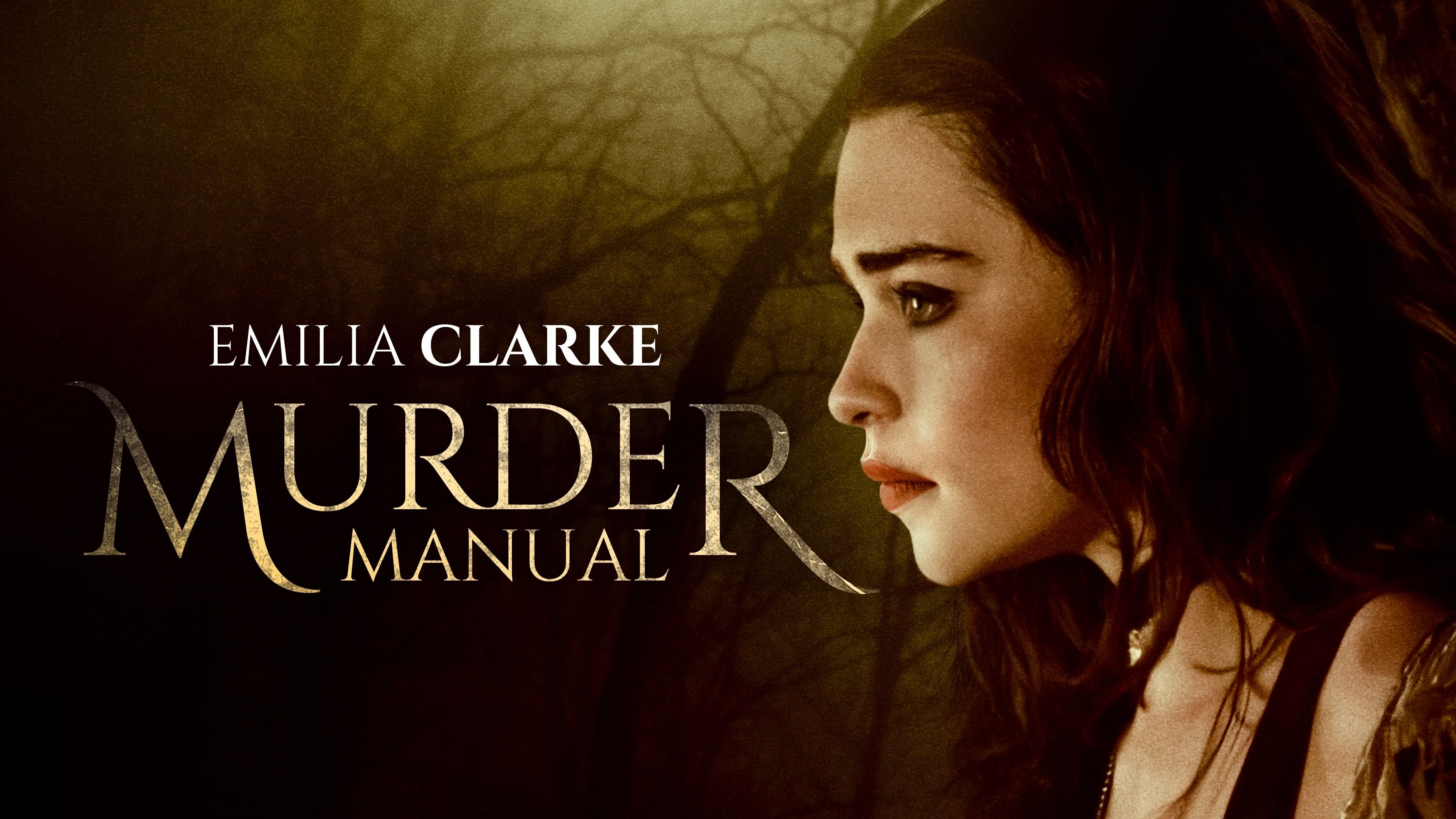 Voir film Murder Manual en streaming