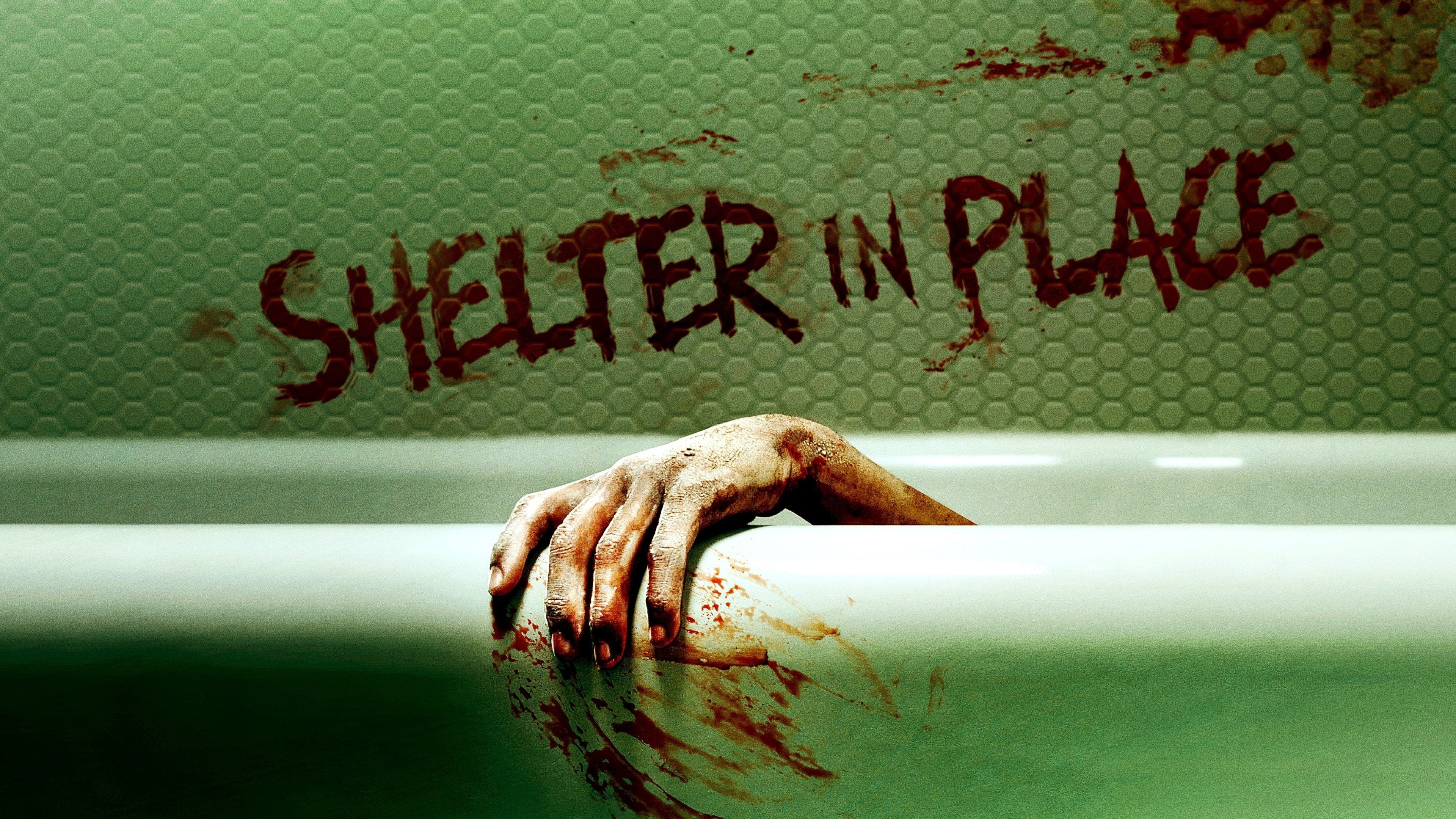 Voir film Shelter in Place en streaming