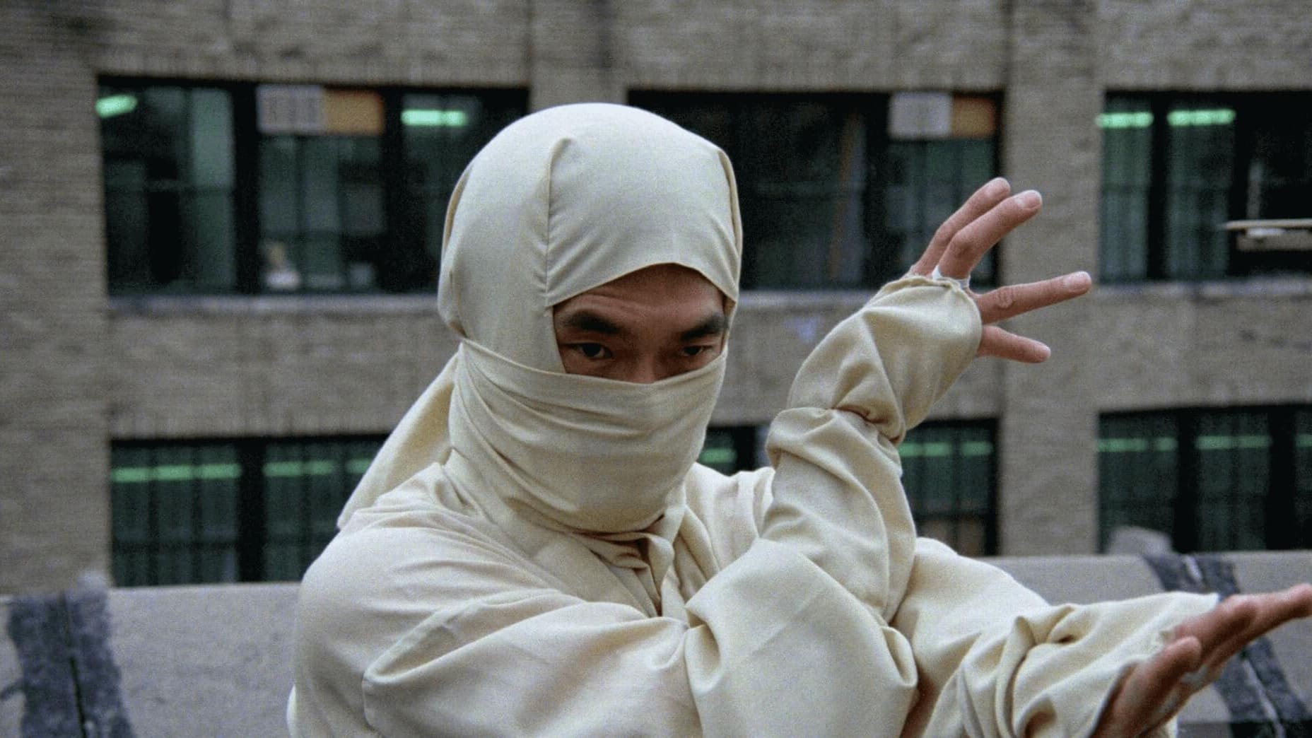 Voir film New York Ninja en streaming