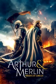 Voir Arthur & Merlin: Knights of Camelot streaming film streaming