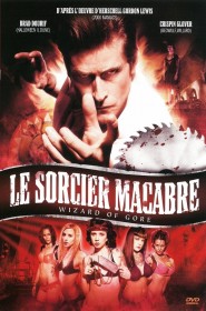 Voir film Le Sorcier macabre en streaming