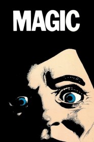 Voir film Magic en streaming