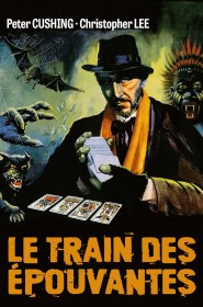 Voir film Le train des épouvantes en streaming