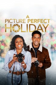 Voir film A Picture Perfect Holiday en streaming